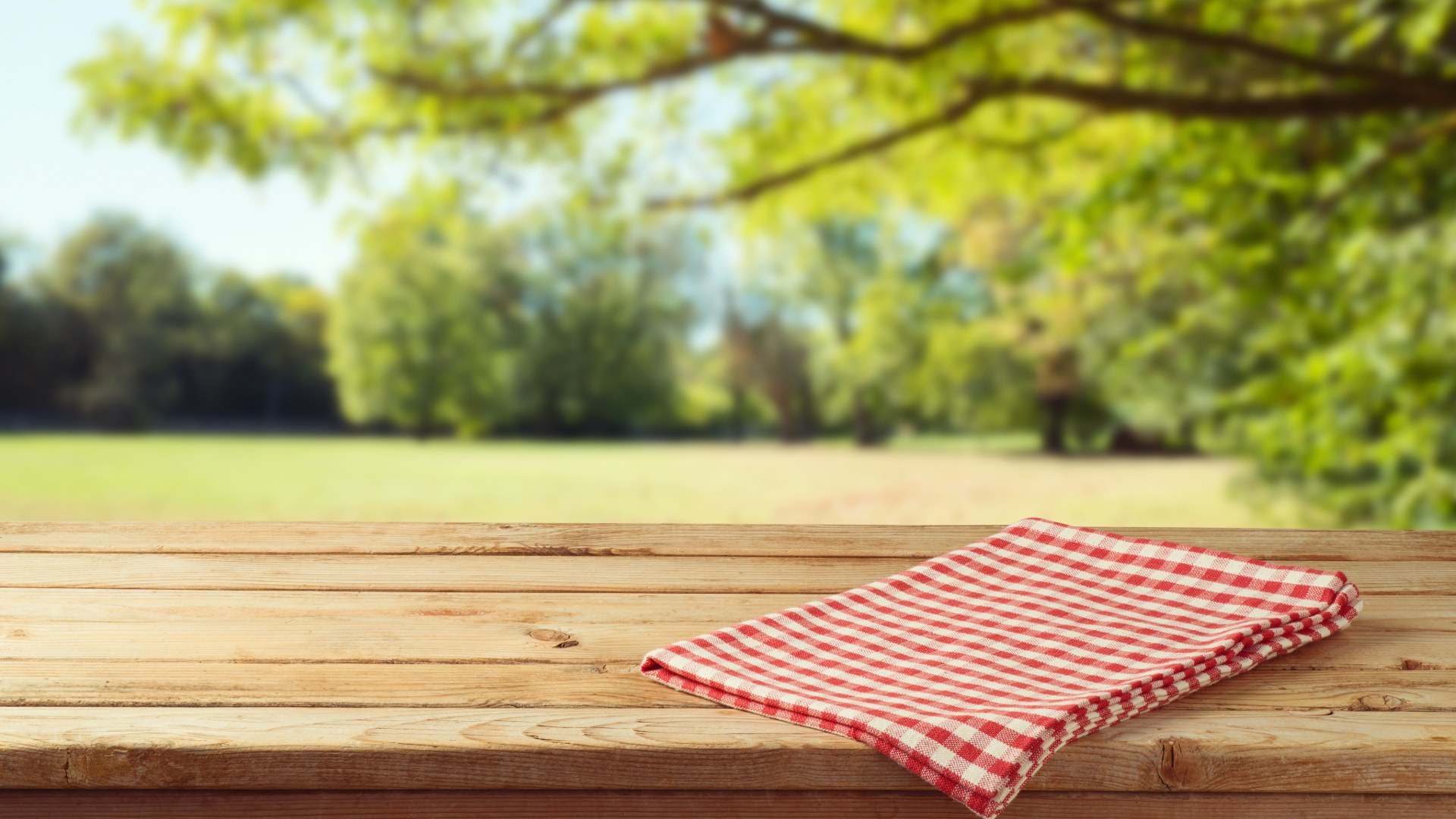 Photo of a park in the summertime with a picnic table featured at the front with a tablecloth.